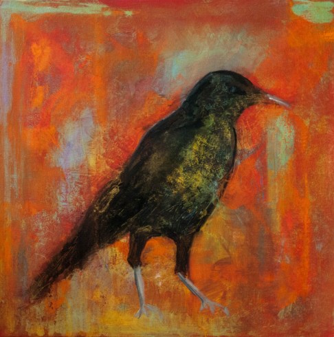 blackbird, crow, bird, red, contemporary artwork, raven, texture, oil painting, 